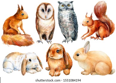 watercolor, set of animals bunnies, owls, squirrels on an isolated white background, poster forest inhabitants