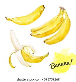 Watercolor set of bananas. a bunch of bananas. peeled banana