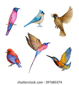 Watercolor Set Of Bird, Flying Birds