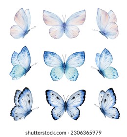 Acuarela mariposas pintadas mano