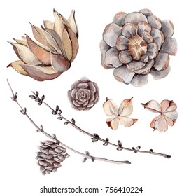 Watercolor Set Of  Botanical Illustrations. Perfect For Christmas And Winter Wedding Design.