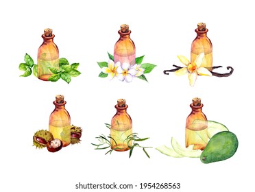 5,651 Essential oil watercolor Images, Stock Photos & Vectors ...