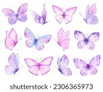Watercolor set of bright purple hand painted butterflies. Design for the decoration of postcards, invitations, greeting cards, birthday, souvenirs, weddings.