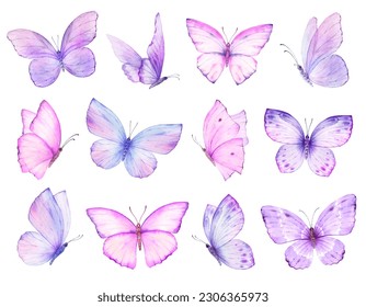 Acuarela mariposas pintadas mano