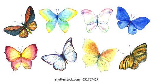 Featured image of post Butterfly Drawing Images Easy With Colour : Draw with me a monarch butterfly and learn how to draw insects and animals.