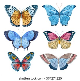 Watercolor Set Of Butterflies And Moth, White Background