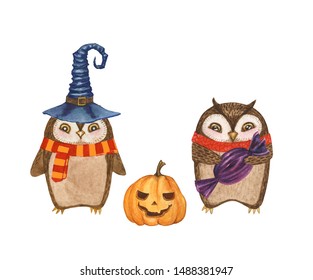 Watercolor set of cartoon cute happy owl character in autumn orange and red scarf, with  Halloween pumpkin lantern, and witch hat, and big purple candy or sweet. Funny kid illustration, animal. - Powered by Shutterstock