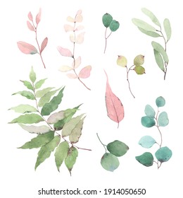 Watercolor set of colorful branches and leaves, floral isolated illustration for your design, decor or print.