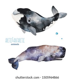 Watercolor set and cute whales Cartoon arctic   antarctic animals Perfect for your project print scrapbook baby shower Birthday card invitations greeting card   much more 
