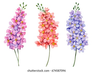 Watercolor Set Of Delphiniums, Hand Drawn Floral Illustration, Bright Small Flowers Isolated On White Background.