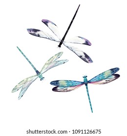 Watercolor set of dragonfly, isolated illustration