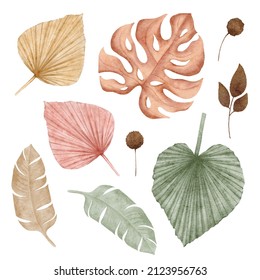 Watercolor Set Of Dried Leaves. Boho Tropical Style. Monstera And Palm Leaf.