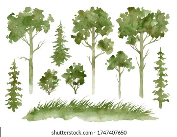 Watercolor Set With Evergreen Trees. Forest Elements For Landscape Creator. Isolated Spruce, Oaks, Pines, Fir Trees, Bush, Grass, Field. Coniferous Green Forest