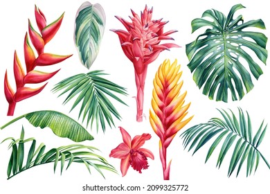 Watercolor set of exotic flowers heliconia and leaves palm. Botanical bright collection of nature isolated background
