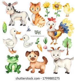 Watercolor set with farm animals. Donkey, goat, cat, dog and many other cute cartoon drawn animals