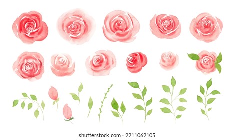 Watercolor set of floral elements. Decoration for poster, greeting card, birthday, wedding design. - Powered by Shutterstock