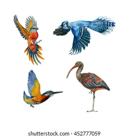 Watercolor Set Of Flying Bird