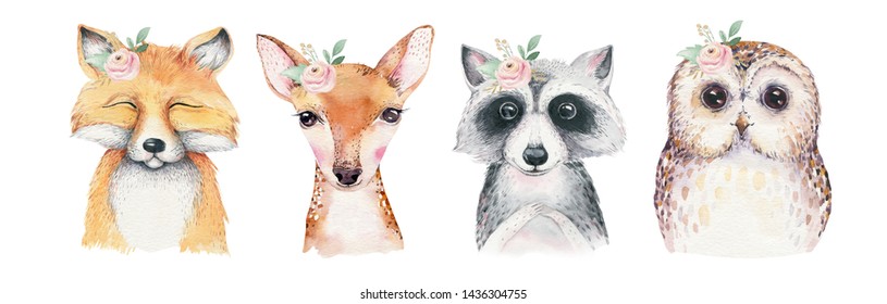 Watercolor set forest cartoon isolated cute baby fox  deer  raccoon   owl animal and flowers  Nursery woodland illustration  Bohemian boho drawing for nursery poster  pattern