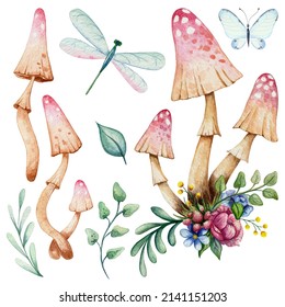 Watercolor set forest elements: watercolor mushrooms  toadstools  fly agaric  dragonfly  moth  butterfly  foliage  clip art