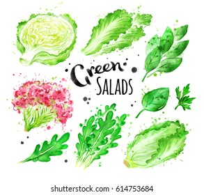 Watercolor Set Of Green Salad Vegetables With Paint Splashes.