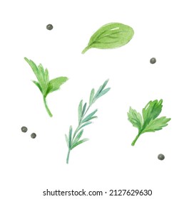 Watercolor Set Of Herbal Spices And Peppercorn. Hand-drawn Illustration Isolated On The White Background. 