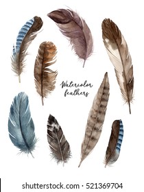 watercolor set illustrations feathers. hand painting isolated elements.