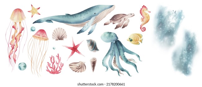 Watercolor Set Of Illustrations With Marine Life Isolated On Transparent. Sea Animal Illustrations Set.