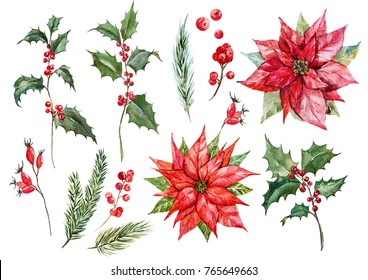 Watercolor set isolated Christmas illustrations, flower poinsettias, Holly, red berries, rose hips, spruce branches