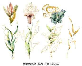 Watercolor set with laminaria and corals. Hand painted underwater floral illustration with algae leaves and tropical coral isolated on white background. For design, fabric or print