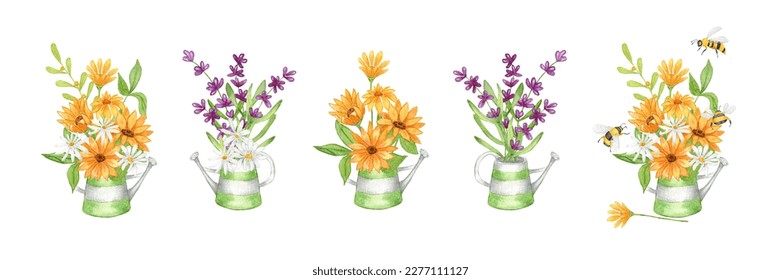 Watercolor set Lavender Clipart  A bouquet lavender in metal watering can  Composition Lavender   Chamomile flowers   sunflowers  daisies   bees  Hand drawing