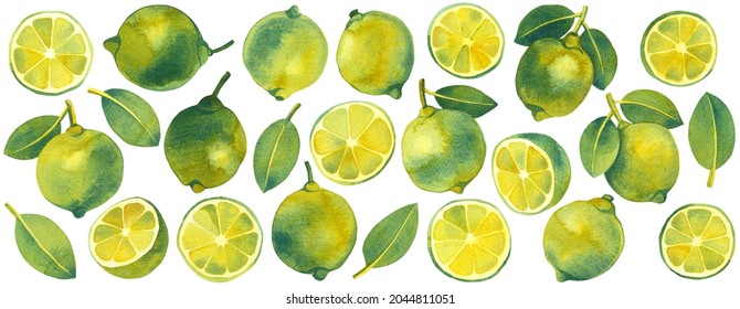 Watercolor set of lime fruits, slices and leaves, hand painted elements on a white background, decorative botanical illustrations