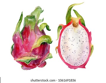Dragon Fruit Drawing For Kids 1 draw a rectangle that will define the ...