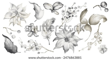 Similar – Image, Stock Photo White mistletoe Nature