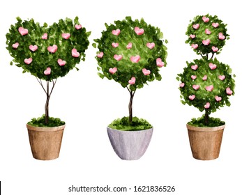 Watercolor set of potted flowers. Spring illustration of potted flowers in the form of a heart and a ball for Valentine's Day. Cute illustration.