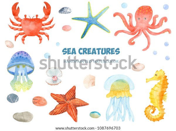 海の生き物の水彩セット カニ タコ ヒトデ クラゲ 水上馬 貝殻 石などの水中イラスト のイラスト素材