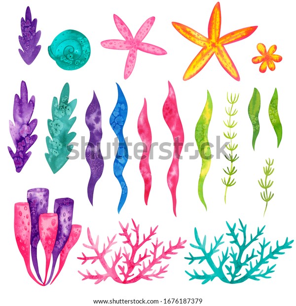 水の色セットの海のエレメント 海藻 水草 珊瑚 花 貝殻 海の星 子ども向けの海のイラスト 海の背景 子どもっぽい性格 水中生物 かわいい ベビーアート のイラスト素材