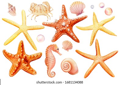 Watercolor Set Of Seashells, Crab, Seahorse, Starfish, Bubbles, On An Isolated White Background, Hand Drawing, Summer Sea Clipart