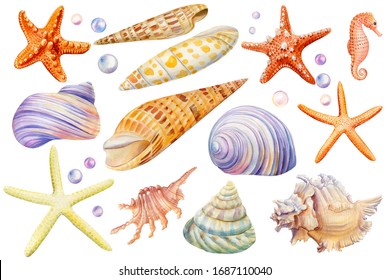 Watercolor Set Of Seashells, Seahorse, Starfish, Bubbles On An Isolated White Background, Hand Drawing, Summer Sea Clipart
