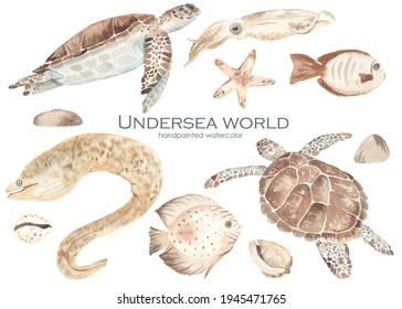 Watercolor set underwater world with sea turtle, fish, moray, starfish, seashells, squid