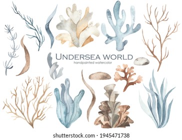 Watercolor set underwater world with seaweed, corals, grass, stones