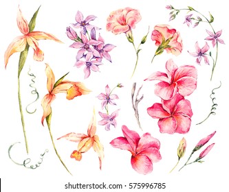 Watercolor Set Of Vintage Floral Tropical Natural Elements. Exotic Flowers, Twigs And Leaves. Botanical Bright Classic Collection Isolated On White Background. 