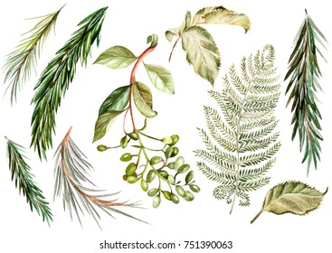 Watercolor set. Wild forest. Leaves. Illustration