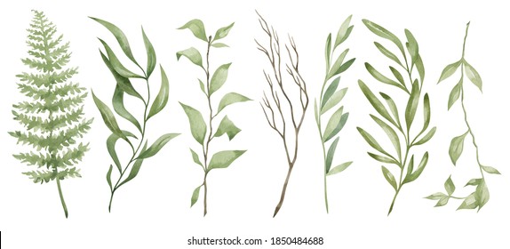 Watercolor set with wild green leaves and branches, fern, mistletoe. Green foliage. Organic herb illustration. Hand-drawn green nature