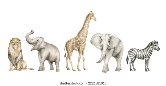 Watercolor set with wild savannah animals. Giraffe, elephants, lion, zebra. Cute safari wildlife animal