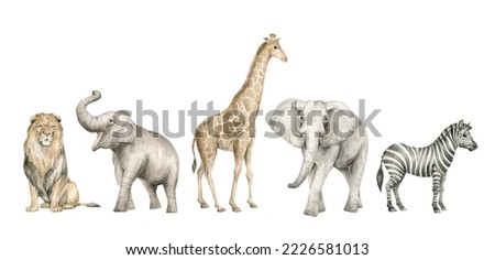 Watercolor set with wild savannah animals. Giraffe, elephants, lion, zebra. Cute safari wildlife animal Foto stock © 