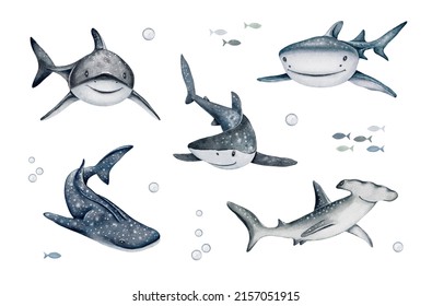 Watercolor Shark Clipart Set. Cartoon Ocean Cute Fish Character. Hand Drawn Illustrations For Postcards, Posters, Invitations, Kids Print