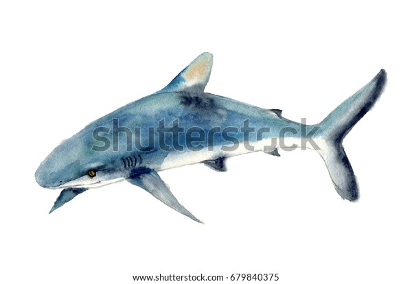 水色のサメのスケッチ 美しい子供のイラスト 白い背景にデザイン 印刷 または背景にイラトス のイラスト素材