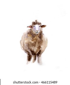 Watercolor Sheep Hand Drawn Cute Illustration Stock Illustration ...