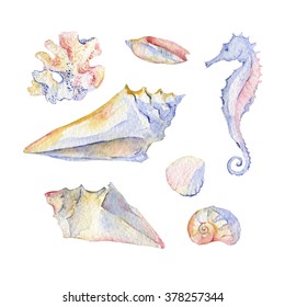 Watercolor shell set of seashells, corals and seahorse