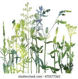 watercolor silhouettes of flowers and grass, background with wild plants, herbal backdrop, artistic floral template, hand drawn illustration